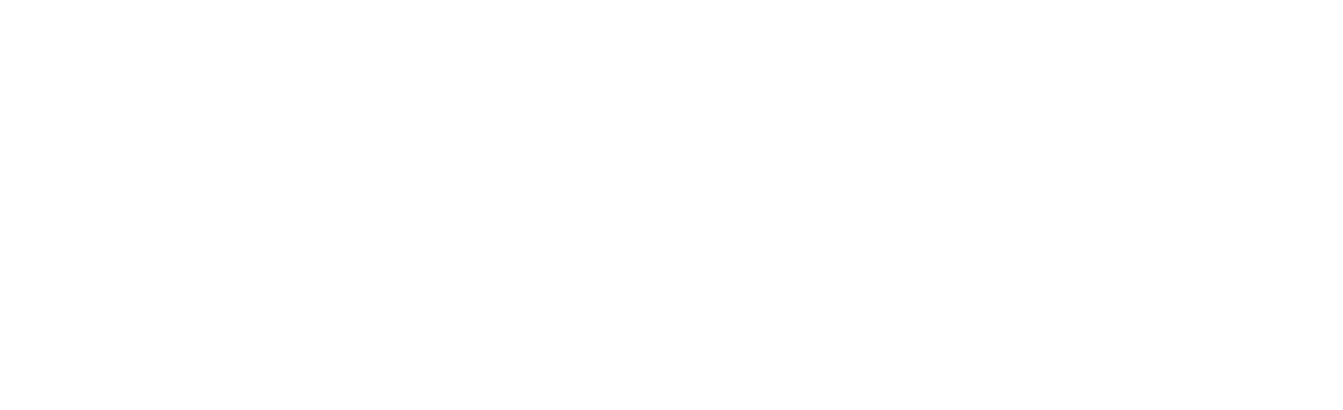 The Wooden Furniture Company